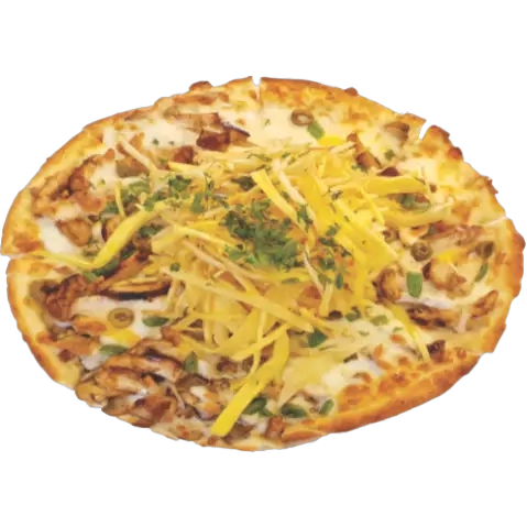 چیکن استراگانف